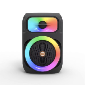 Haut Parleur Bluetooth – Sans fil